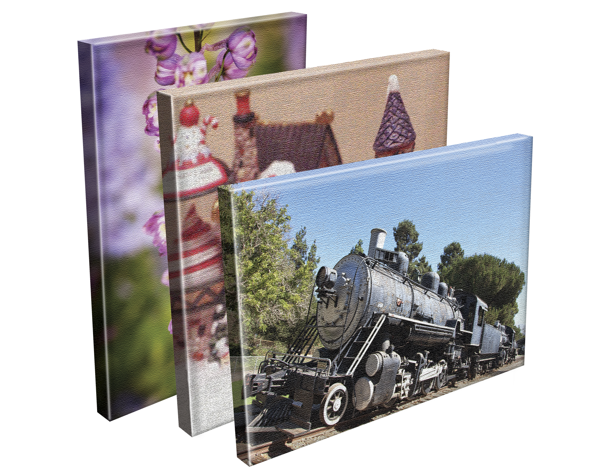 Printed Canvas