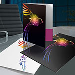 Printed Presentation Folders